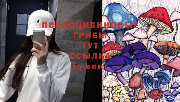 а пвп мука Няндома