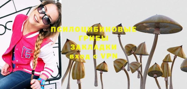 а пвп мука Няндома