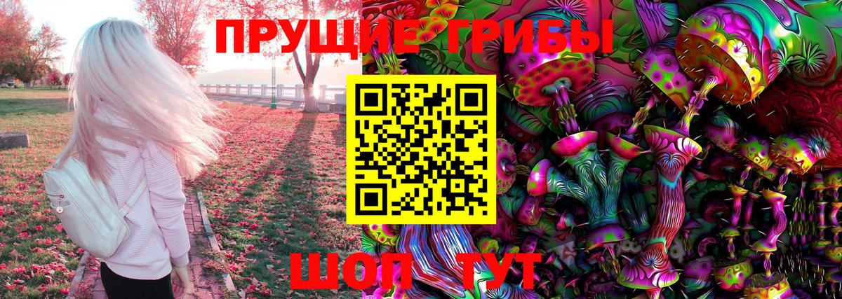 Псилоцибиновые грибы мицелий  Вход с VPN  Галлюциногенные грибы Cubensis  Тайшет 