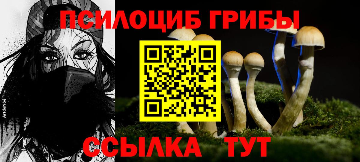 Псилоцибиновые грибы MAGIC MUSHROOMS Тайшет