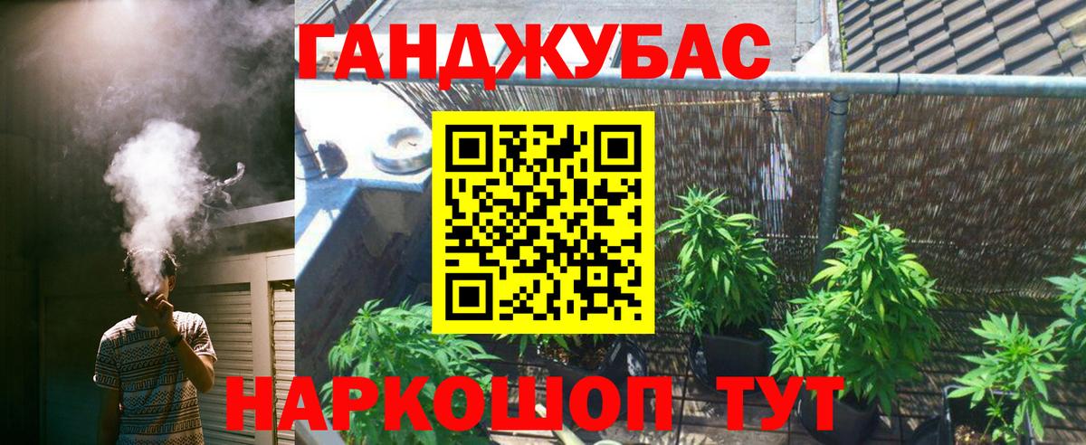 Бошки марихуана OG Kush Тайшет